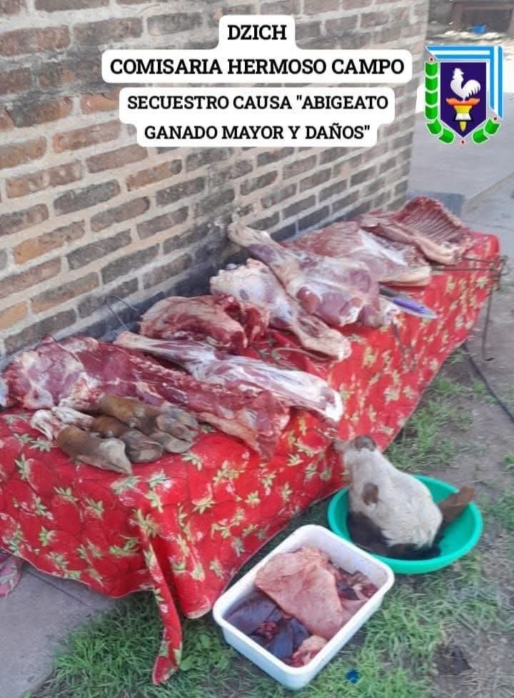 Imagen Noticia