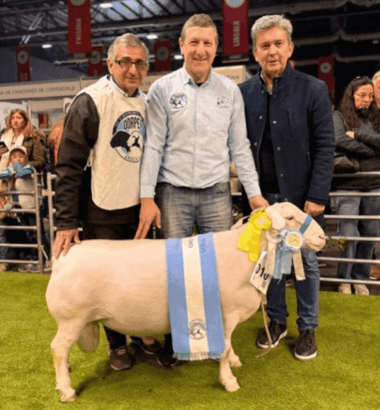Imagen Noticia